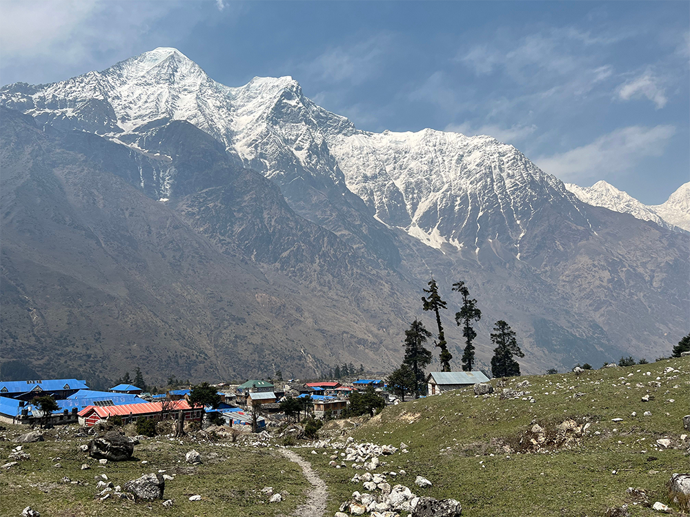 image of 
