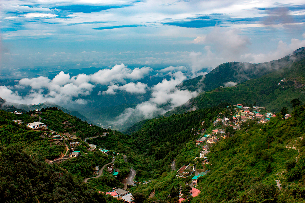 image of 