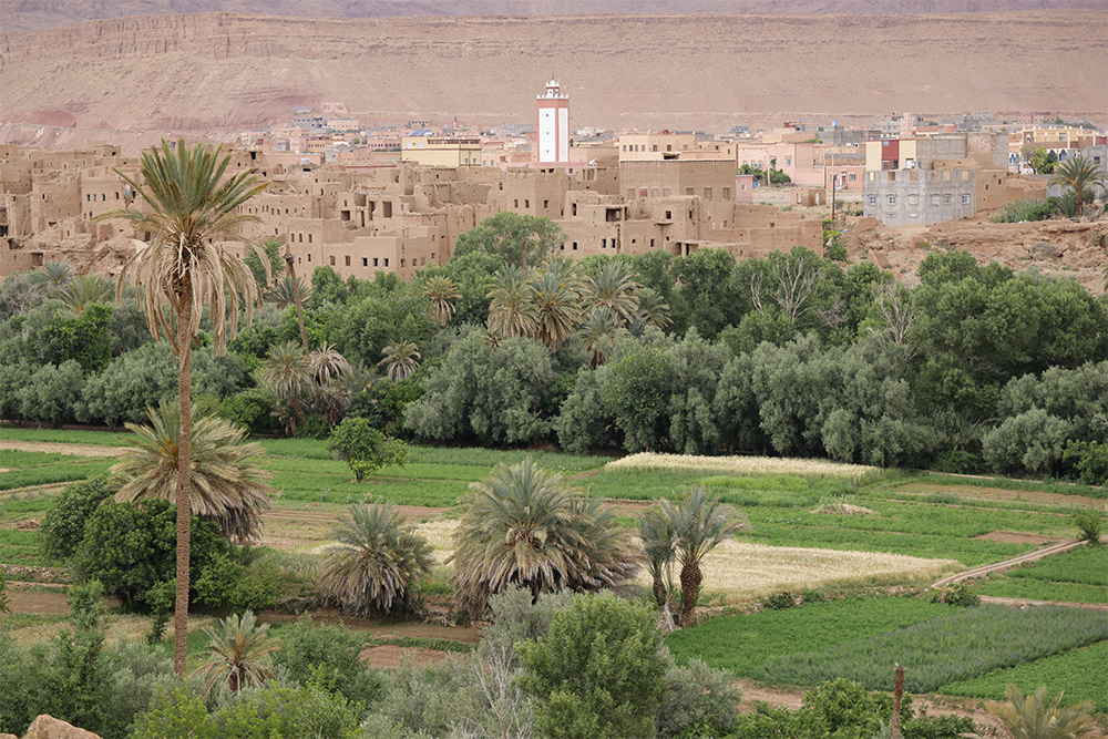 image of 
