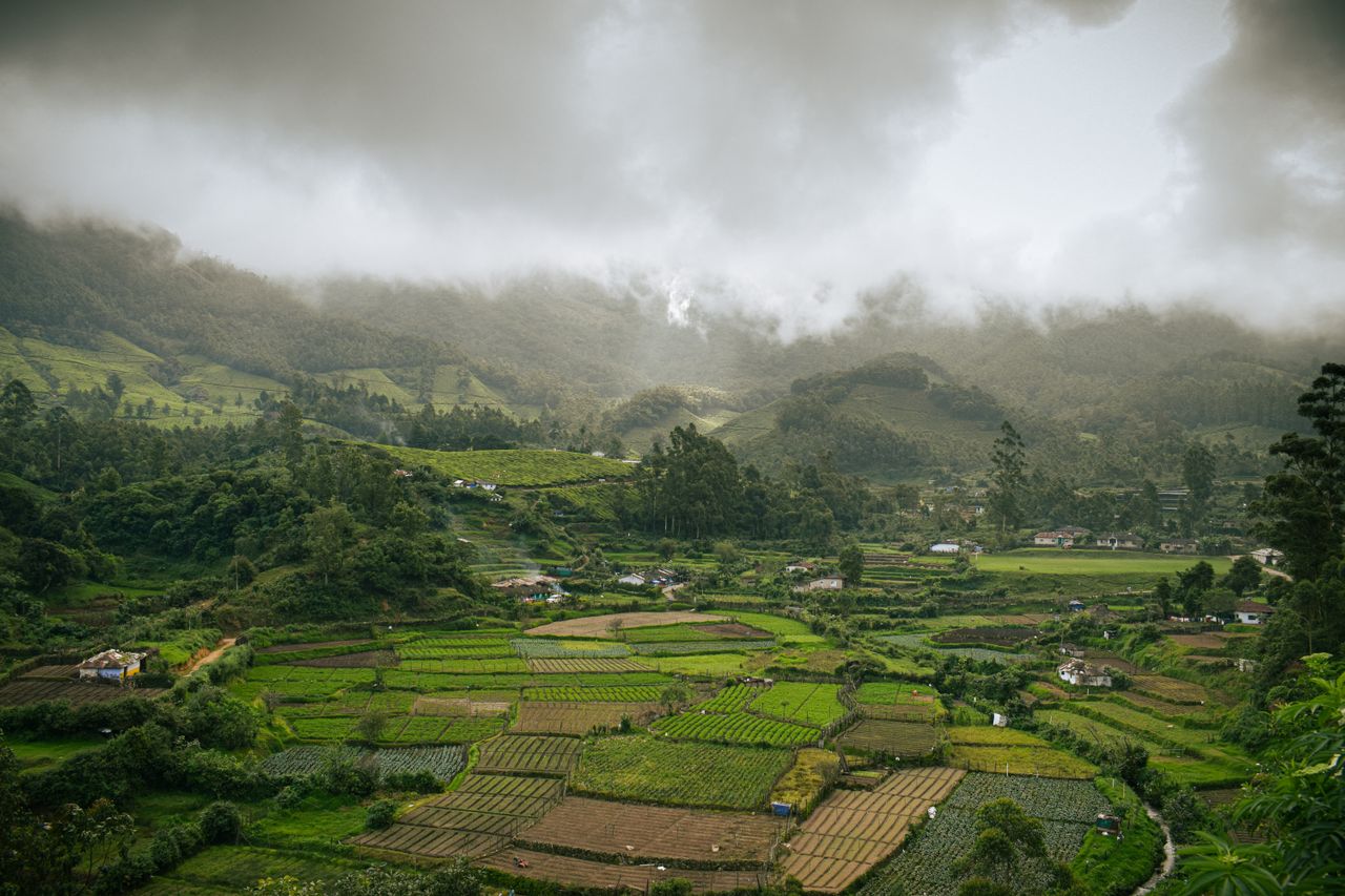 image of 