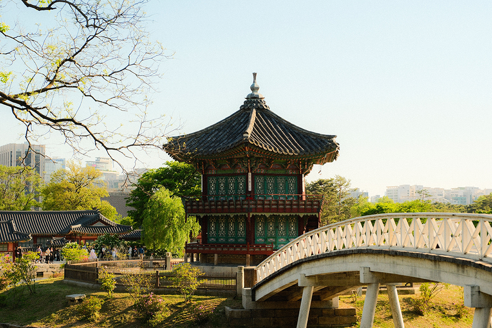 image of 