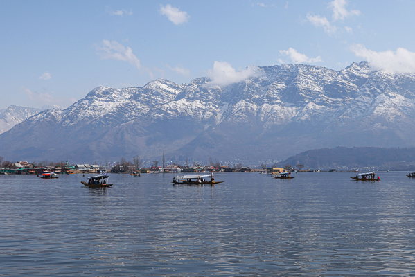Kashmir