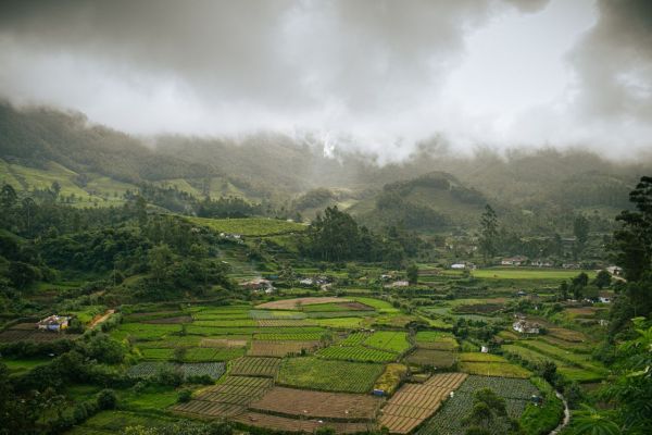 Coorg Ooty